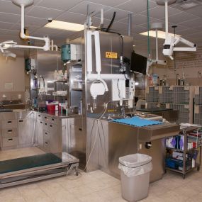 Take a peek inside the treatment area at Superior Animal Hospital. Here, our medical team carries out a variety of procedures, such as administering vaccines, dental cleanings, and pre-surgical preparation.
