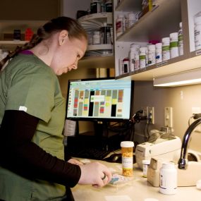 The facility at Superior Animal Hospital houses an on-site pharmacy to give our clients convenient and direct access to a wide range of medications their pets may need.