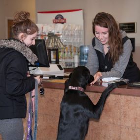 Our reception team gives the warmest greetings to our clients and their very special pets.