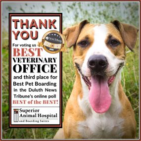 The entire team at Superior Animal Hospital would like to take a moment to thank you for voting us #1 in the 