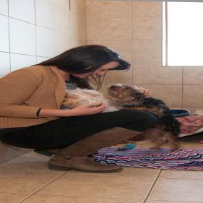 Jenna Harting, Hospital Manager at Superior Animal Hospital & Boarding Suites, checks in on pets.