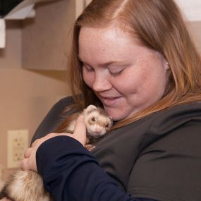 Pocket pets, like this ferret, make great forever friends!