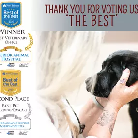 The entire team at Superior Animal Hospital would like to take a moment to thank you for voting us 'Best Veterinary Office' and earning us 2nd place for 'Best Pet Boarding/Daycare'. This honor means so much to us, and we look forward to continue providing only the BEST in veterinary medicine!