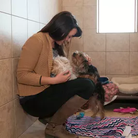 Jenna Harting, Hospital Manager at Superior Animal Hospital & Boarding Suites, checks in on pets.