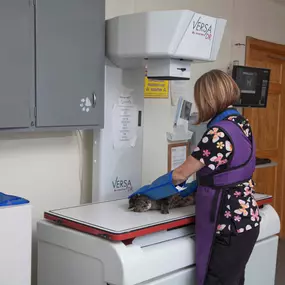 This veterinary technician wears protective gear as she performs an x-ray. Spoon River Animal Clinic is equipped with advanced digital radiography technology, which produces much finer images in comparison to a traditional x-ray. Clearer images allow our veterinarians to extract as much information as possible while easily relaying images to specialists for consultation.