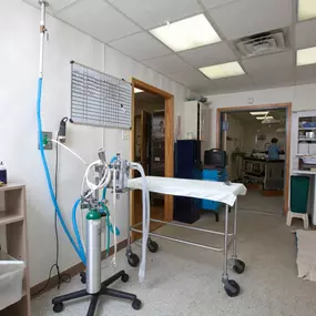 Our treatment area is equipped with all necessary amenities, as well as an anesthesia machine, to prep patients prior to surgery. Our medical team strives to make every patient as comfortable as possible before surgery and in treatment.