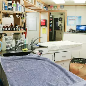 This is a treatment area at Shawnee Animal Hospital. This space is used for a range of procedures, like taking blood, giving vaccines, performing dental cleanings, and preparing for surgery.