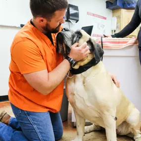 Dr. Alex Simpson greets a patient before beginning a nose-to-tail physical examination.