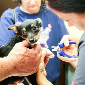 If you struggle to trim your pet’s nails at home, our staff is happy to assist you!