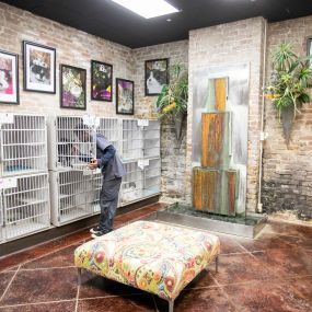 Our Zen kennel was built for the sensitivities of our feline patients. An artistic fountain provides a soothing ambiance for the benefit of our boarding feline guests. Gentle music completes the atmosphere of our cat boarding facility.