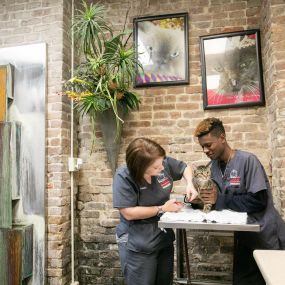 At The Cat Practice, our technicians treat our patients with love and care, understanding the importance of providing a stress-free visit!