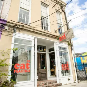 Welcome to The Cat Practice! We are an award-winning veterinary facility dedicated exclusively to cats. We are located in the historic Lower Garden District of New Orleans at 1809 Magazine Street and the corner of Felicity.