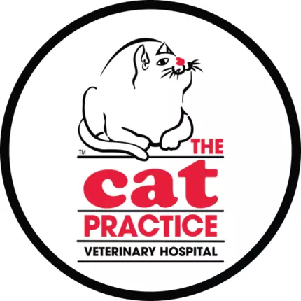 Logo da The Cat Practice