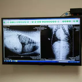 We have the latest development in X-ray technology which provides clear, high quality digital images to give us the best possible view of internal organs and bones.