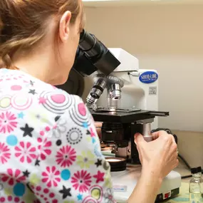 A veterinary technician examines a sample using a microscope in our convenient, fully equipped in-house lab. We are able to perform urinalysis, parasite testing, fungal cultures, blood work, and much more.