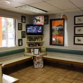 Our waiting area is inviting and spacious with some great educational resources, too!