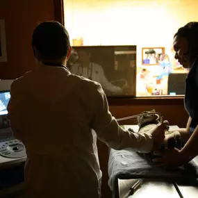 Dr. Weir performs an ultrasound on a well-behaved cat to get a better view of the patient’s abdominal region and vital organs.