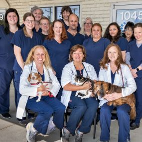 Willowbrook Veterinary Clinic team.