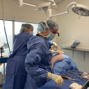 Our surgical suite is modern and our surgical team is highly trained.