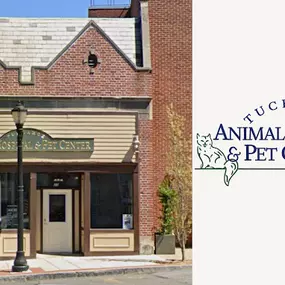 Tuckahoe Animal Hospital & Pet Center - Quality Vet Care in Tuckahoe NY