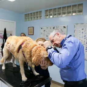 Part of our patients wellness exam is to check the ears, and this adorable pooch was a great patient for Dr. Gary Yarnell as he conducted the ear exam.