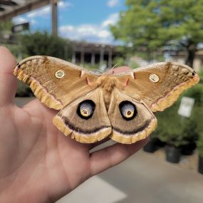 Bild von Berns Garden Center