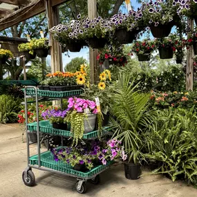 Bild von Berns Garden Center