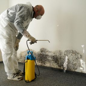 House overrun by mold, High Plains is here to resolve all your problems. High Plains will help remove all mold from your home so you can breath easily.