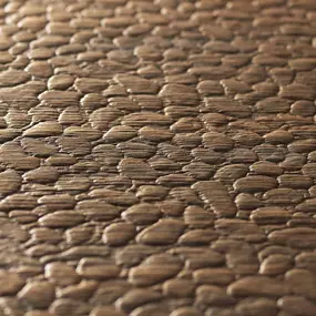 Tecnica Veneer