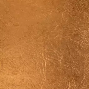 Silver King Copper