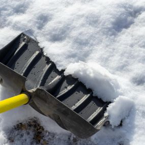 You can also call us down to help remove snow from your yards and garden to help keep your flowers and others well.