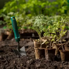 We can also create some garden beds for your plants and vegetables and put fences around them to keep them safe.