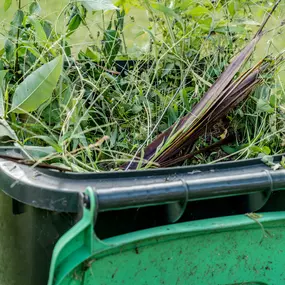 You can also call us to come down and clean up any to all messes from fall and spring environment such as leaf's, branches and even trash.