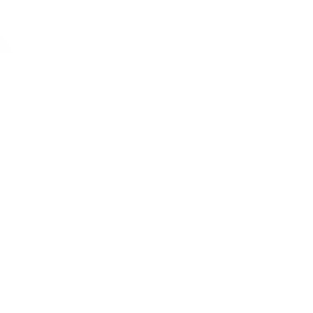202563235-1-gYNopRyfLD1707208179329.png