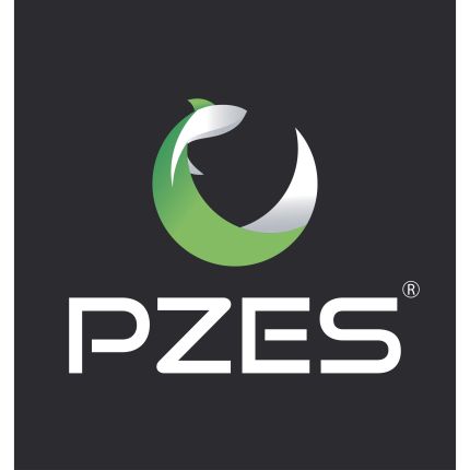 Logo von Pzes Online