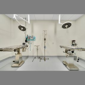 Middlesex Veterinary Center surgery suite, photo credit: David Ward Photography