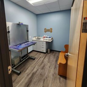 One of our spacious exam rooms at Middlesex Veterinary Center