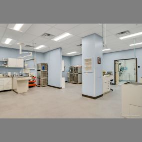 Middlesex Veterinary Center treatment room, photo credit: David Ward Photography