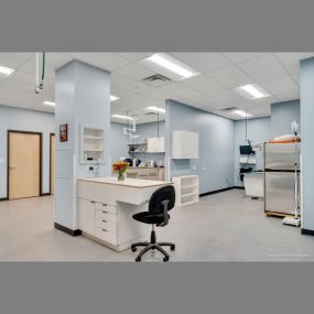 Middlesex Veterinary Center treatment room, photo credit: David Ward Photography