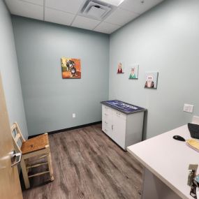 One of our spacious exam rooms at Middlesex Veterinary Center