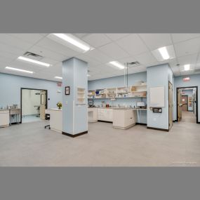 Middlesex Veterinary Center treatment room, photo credit: David Ward Photography