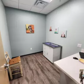 One of our spacious exam rooms at Middlesex Veterinary Center