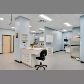 Middlesex Veterinary Center treatment room, photo credit: David Ward Photography