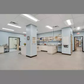 Middlesex Veterinary Center treatment room, photo credit: David Ward Photography