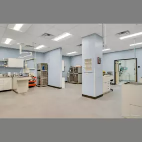 Middlesex Veterinary Center treatment room, photo credit: David Ward Photography