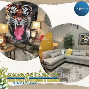 Bild von Baumgartner's Furniture in Columbia