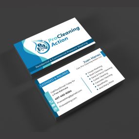 Pro Cleaning Action LLC Business Card