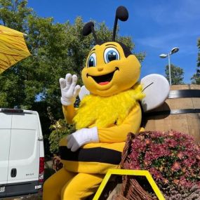 Bild von beekeepers Imkereibedarf