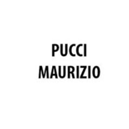 Logo van Pucci Maurizio