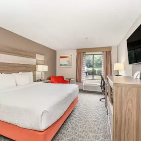 Guest Room ADA King